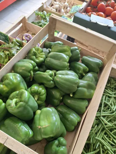 Découvrez nos premiers poivrons verts du Gers en boutique à la Ferme Le Clavel, Vallesvilles, Ferme Le Clavel